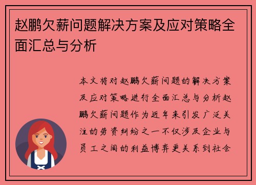 赵鹏欠薪问题解决方案及应对策略全面汇总与分析